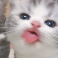 Nagn
