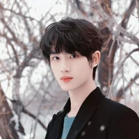 Đinh Trình Hâm