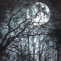 Hệ thống 001/Kaya Jojoha/