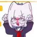 Neko Japan