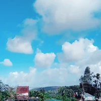 tác giả