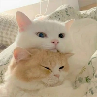 All công ( trừ ai thì trừ )