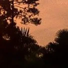 All
