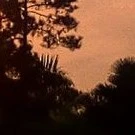 All