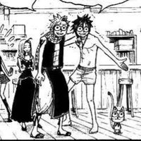 Natsu - Gray