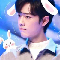 Tiêu Chiến/Tán Tán/Tiểu Tán