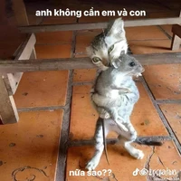 sữa chua pai