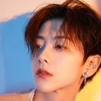 Đình Lâm Song Tử