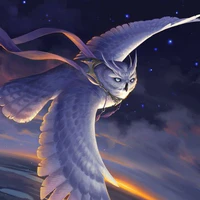 Koko [ Pet ]