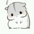tg cute