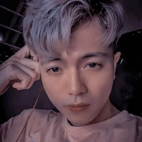 mr.vịt
