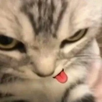 Ebe của Luck👉👈