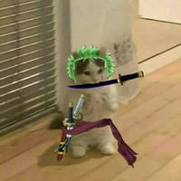 Zoro