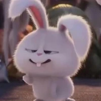 Con tác giả🧚‍♀️