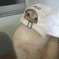 🐰Y/n🐰
