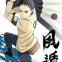 nara shikadai_TGK
