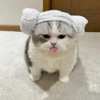 mn trong lớp