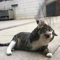 Tác Giả thiếu muối