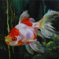 Sora Dạng Cá