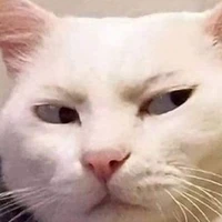 Ara Sergon☕️❄️