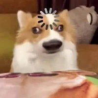 tác giả nói không với 🧠
