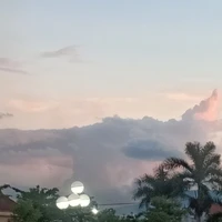 Cả lớp