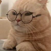 all những người ở đó