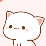 Mèo Trắng 🐱