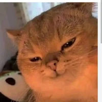 tg(má thiên hạ,mẹ thiên nhiên)