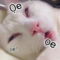 t/g bị ảo