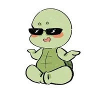 Rùa không biết bơi 💦🐢