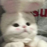 Nhỏ t/g