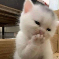 Tác giả