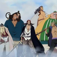 băng hải tặc shank