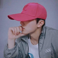Tô Tân Hạo 