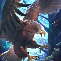 Đại Bằng Bầu Trời_Hắc Hắc