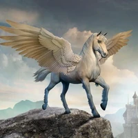 Ngựa Ánh Sáng_Tiểu Bạch