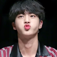 Seokjin(anh)