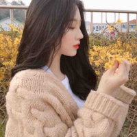 Lee Selni