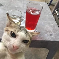 nv phụ