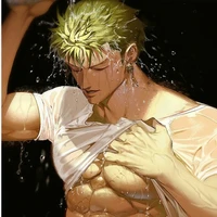 roronoa zoro(công chính)