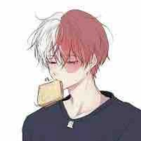 Todoroki Shoto