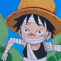 luffy(7t)