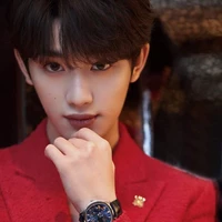 Đinh Trình Hâm ( Dark )