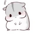 Chuột :3