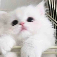 Tg cutii nhất hệ mặt trời