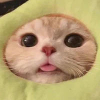 tg