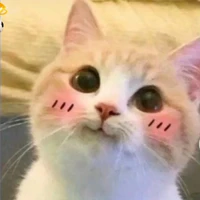 Tác giả