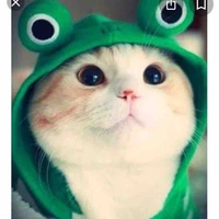 Tác giả zui zẻ