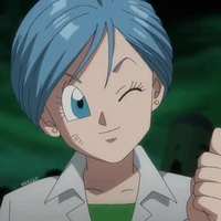 Bulma